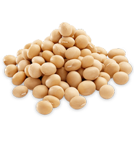 soybean-png1-400x300
